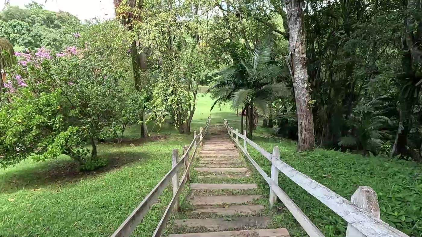 Fazenda, 3 hectares - Foto 48