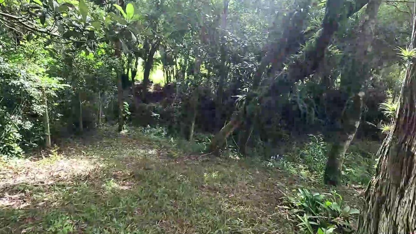 Casa de Condomínio - Foto 27