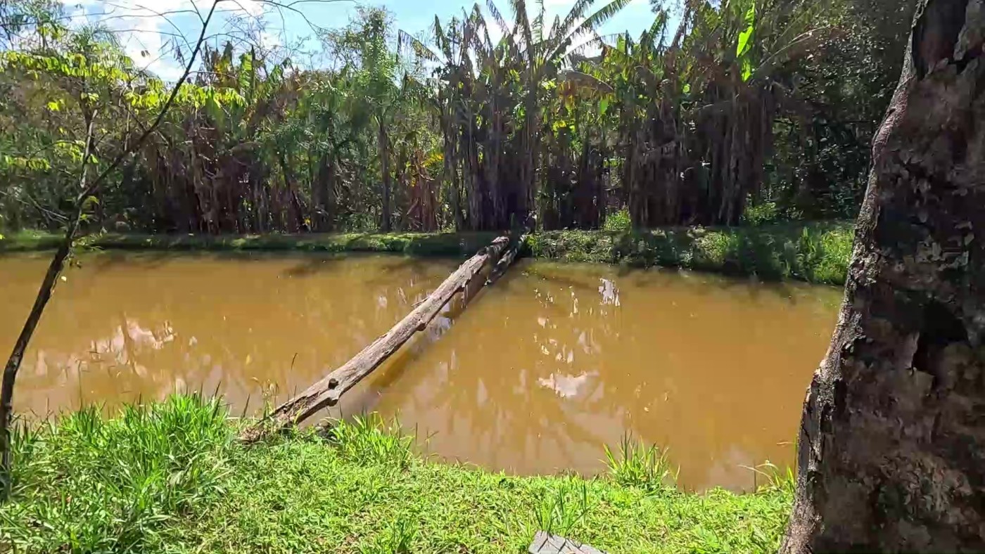 Fazenda, 2 hectares - Foto 2