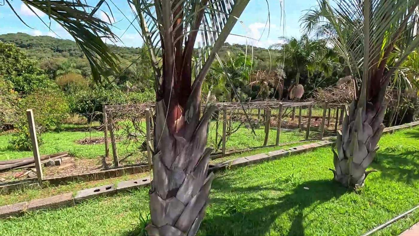 Fazenda, 2 hectares - Foto 31