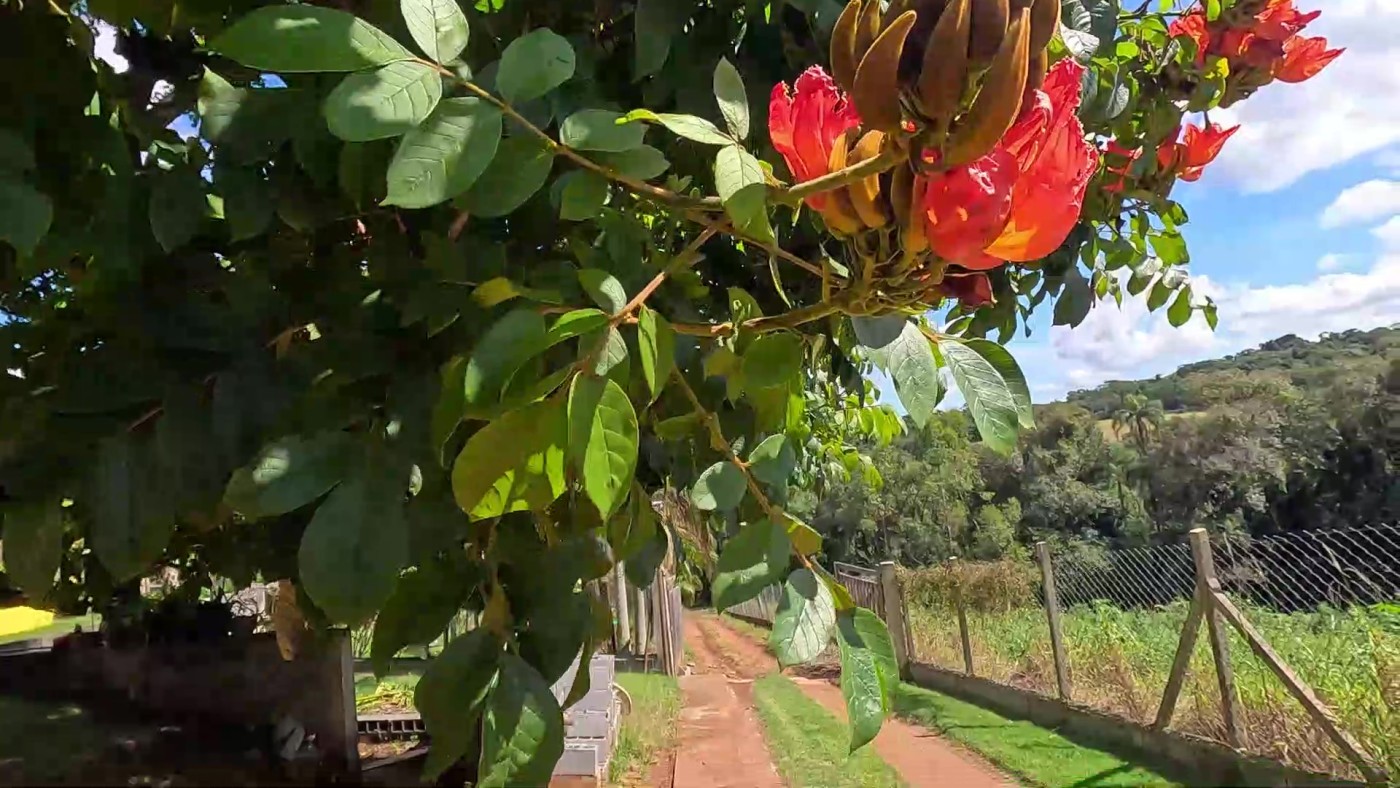 Fazenda, 2 hectares - Foto 37