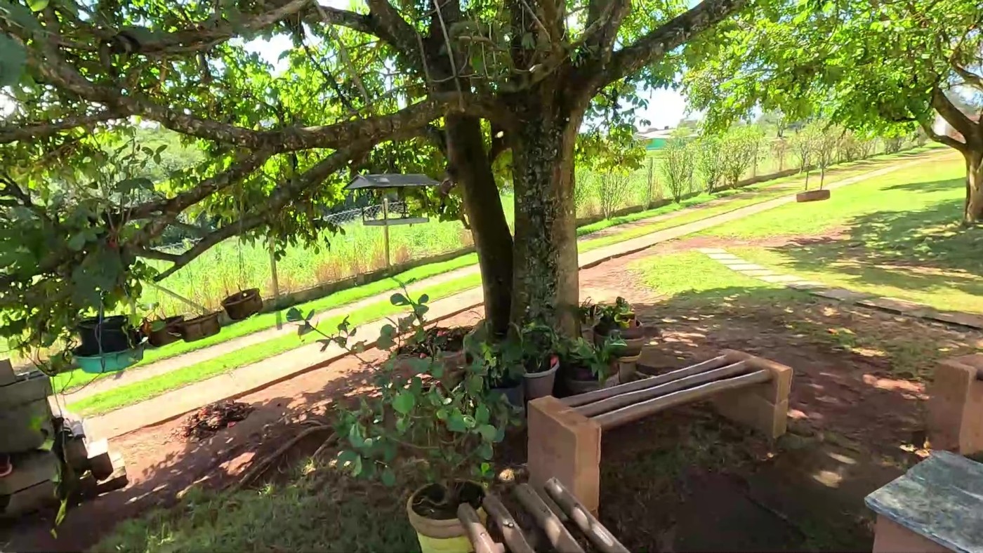 Fazenda, 2 hectares - Foto 34