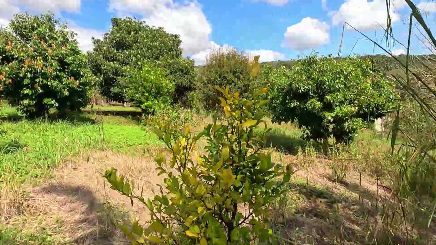 Fazenda, 2 hectares - Foto 42