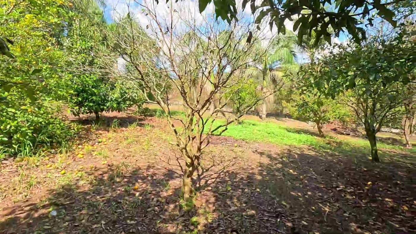 Fazenda, 2 hectares - Foto 43