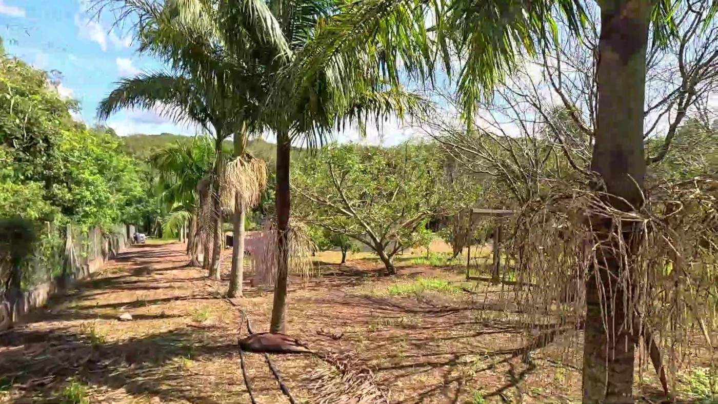 Fazenda, 2 hectares - Foto 45