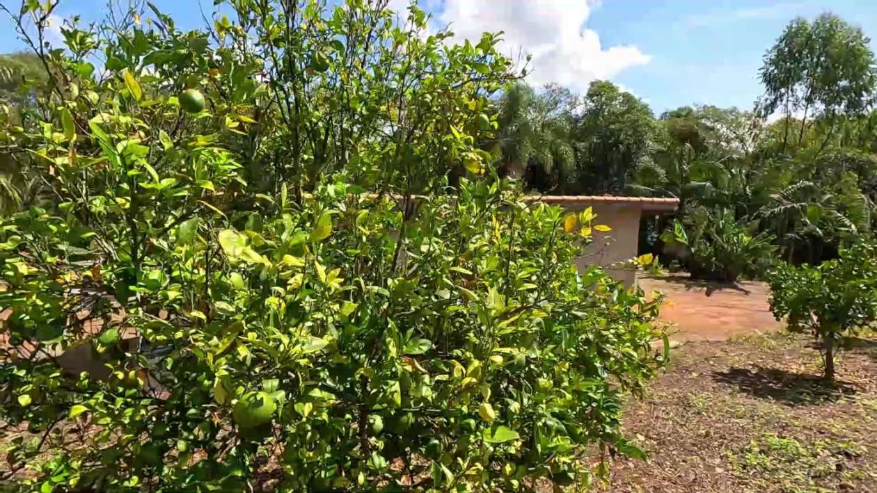 Fazenda, 2 hectares - Foto 47