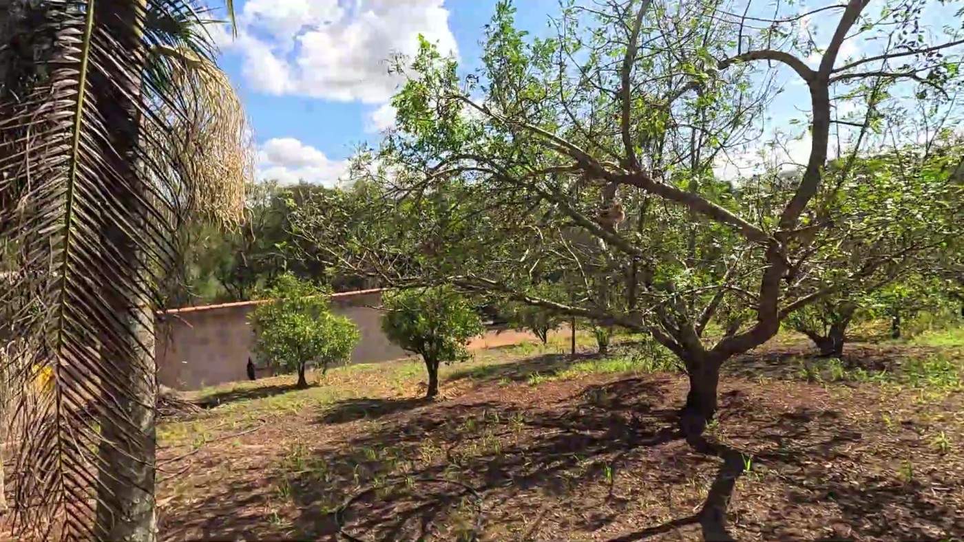 Fazenda, 2 hectares - Foto 46