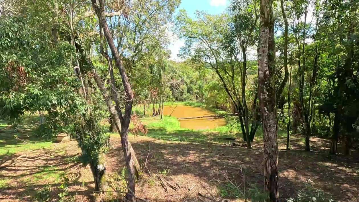 Fazenda, 2 hectares - Foto 51