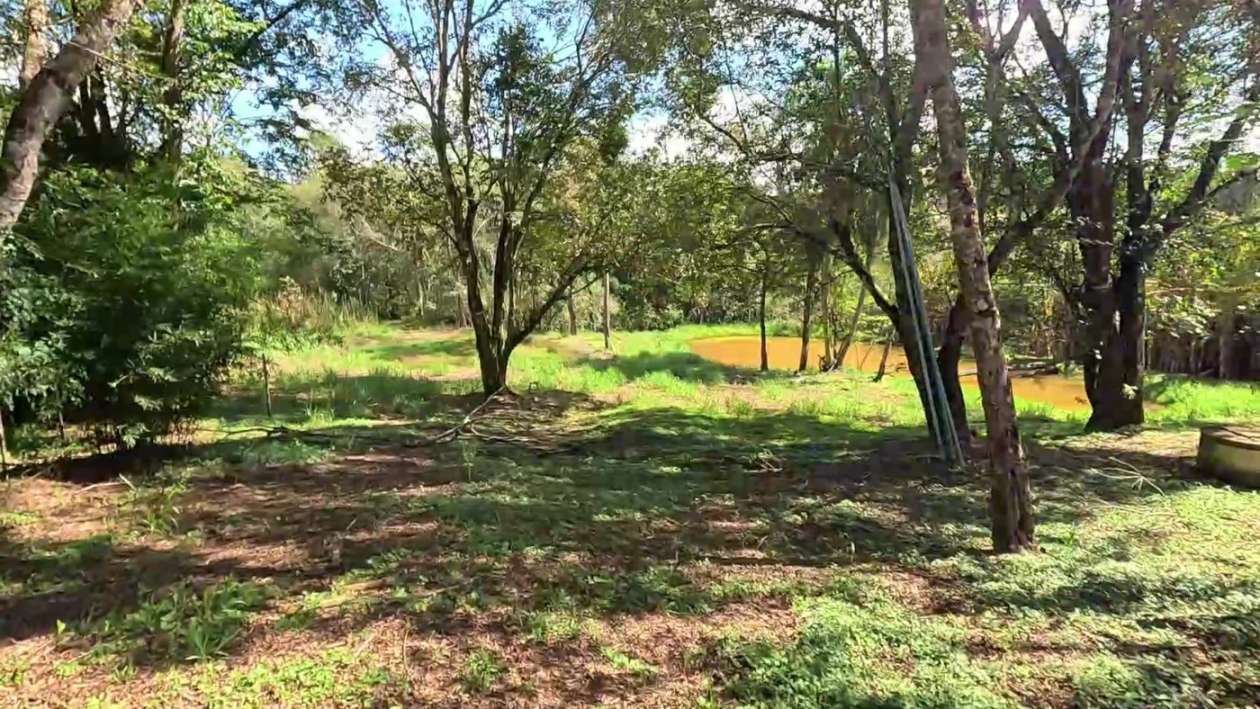 Fazenda, 2 hectares - Foto 56