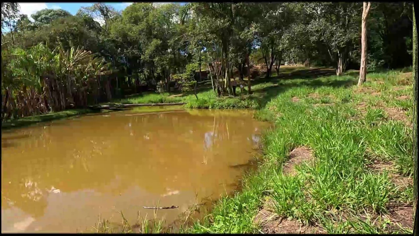 Fazenda, 2 hectares - Foto 60