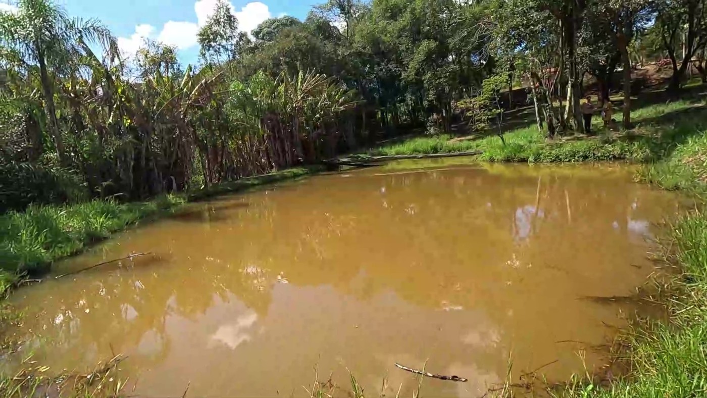 Fazenda, 2 hectares - Foto 61